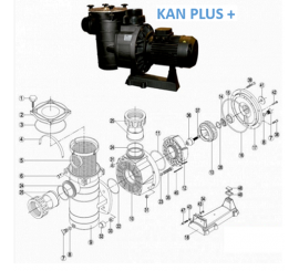 Recambio conjunto reten bomba KAN PLUS + Kripsol / Hayward.