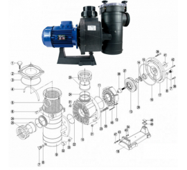 Recambio conjunto reten bomba KAL Kripsol / HCP4200 Hayward.