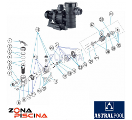 Recambio cuerpo de bomba piscina astralpool maxim, shark